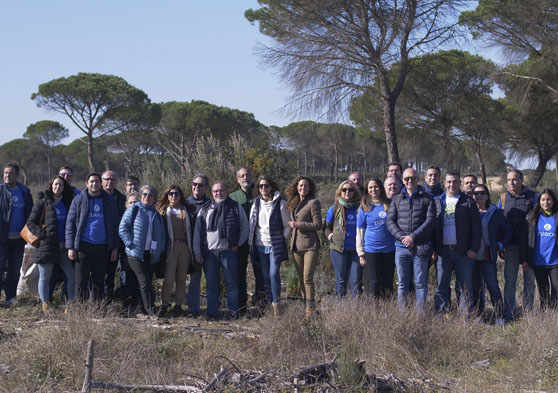 Equipo de Zurich en un pinar comprometidos con el cuidado del planeta